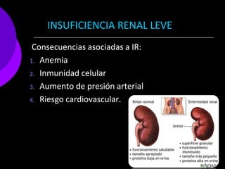 INSUFICIENCIA RENAL LEVE
 Consecuencias asociadas a IR:
1. Anemia

2. Inmunidad celular

3. Aumento de presión arterial

4. Riesgo cardiovascular.
 
