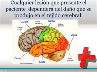 Cualquier lesión que presente el
paciente dependerá del daño que se
   produjo en el tejido cerebral.
 