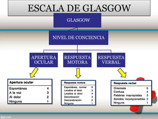 ESCALA DE GLASGOW
           GLASGOW


      NIVEL DE CONCIENCIA



APERTURA   RESPUESTA   RESPUESTA
 OCULAR     MOTORA      VERBAL
 