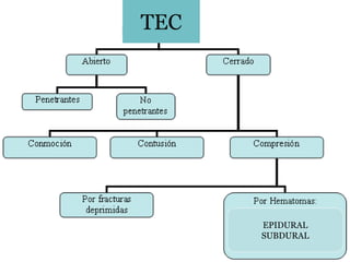 TEC




      EPIDURAL
      SUBDURAL
 