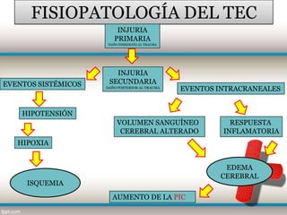 FISIOPATOLOGÍA DEL TEC
                         INJURIA
                        PRIMARIA
                     DAÑO INMEDIATO AL TRAUMA




                        INJURIA
EVENTOS SISTÉMICOS    SECUNDARIA
                     DAÑO POSTERIOR AL TRAUMA
                                                EVENTOS INTRACRANEALES


    HIPOTENSIÓN
                         VOLUMEN SANGUÍNEO                 RESPUESTA
                          CEREBRAL ALTERADO              INFLAMATORIA
   HIPOXIA


                                                         EDEMA
                                                        CEREBRAL
     ISQUEMIA
                       AUMENTO DE LA PIC
 