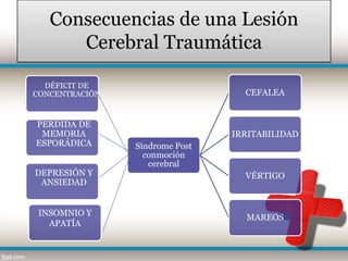 Consecuencias de una Lesión
      Cerebral Traumática

  DÉFICIT DE
CONCENTRACIÓN                     CEFALEA


PERDIDA DE
 MEMORIA                        IRRITABILIDAD
ESPORÁDICA      Síndrome Post
                  conmoción
                   cerebral
DEPRESIÓN Y                       VÉRTIGO
 ANSIEDAD


 INSOMNIO Y
                                  MAREOS
   APATÍA
 