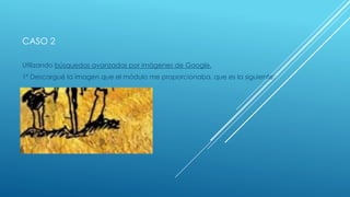 CASO 2
Utilizando búsquedas avanzadas por imágenes de Google.
1º Descargué la imagen que el módulo me proporcionaba, que es la siguiente: