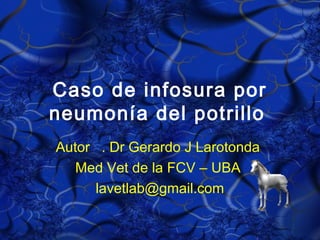 Caso de infosura por
neumonía del potrillo
Autor . Dr Gerardo J Larotonda
Med Vet de la FCV – UBA
lavetlab@gmail.com
 