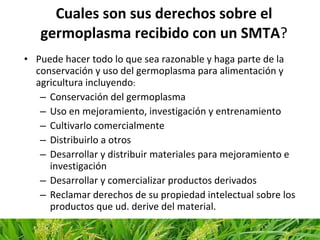 SMTA para variedades en desarrollo