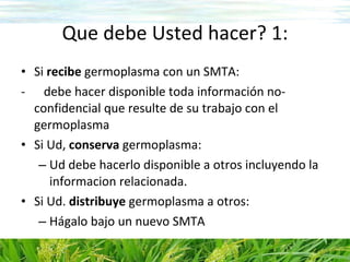 SMTA para variedades en desarrollo