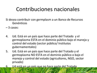 SMTA para variedades en desarrollo