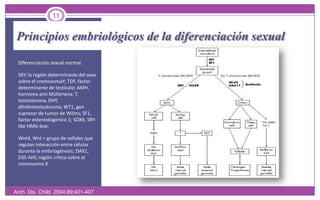 Principios embriológicos de la diferenciación sexualDiferenciación sexual normal. SRY, la región determinante del sexo sobre el cromosomaY; TDF, factor determinante de testículo; AMH, hormona anti Mülleriana; T, testosterona; DHT, dihidrotestosterona; WT1, gen supresor de tumor de Wilms; SF1, factor estereidogenico 1; SOX9, SRY-like HMG-box;Wnt4, Wnt = grupo de señales que regulan interacción entre células durante la embriogénesis; DAX1, DSS-AHC región crítica sobre el cromosoma XArch. Dis. Child. 2004;89;401-40711