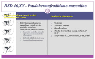 Scheme revealing external genital anomalies after PraderPruebas de laboratorioIndividuos genéticamente masculinos en quienes los genitales no se han desarrollado adecuadamenteDesarrollo testicular anómalo o producción insuficiente de testosteronaDéficit de dihidrotestosteronaInsensibilidad de receptoresCariotipoAnatomía internaGonadotrofinasPrueba de synacthen 125 ug, cortisol, 17-OHPRespuesta a hCG, testosterona, DHT, DHEA16DSD 46,XY - Psudohermafroditismomasculino