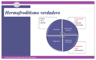 Hermafroditismo verdadero18J Clin Endocrinol Metab 2001;86: 2909-2922