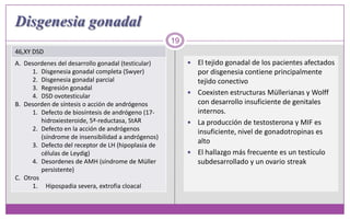 Disgenesia gonadal19El tejido gonadal de los pacientes afectados por disgenesia contiene principalmente tejido conectivo Coexisten estructuras Müllerianas y Wolff con desarrollo insuficiente de genitales internos. La producción de testosterona y MIF es insuficiente, nivel de gonadotropinas es altoEl hallazgo más frecuente es un testículo subdesarrollado y un ovario streak