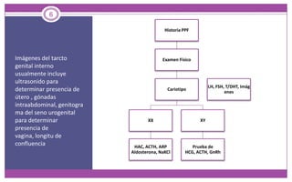 Imágenes del tarcto genital interno usualmente incluye ultrasonido para determinar presencia de útero , gónadas intraabdominal, genitograma del seno urogenital para determinar presencia de vagina, longitu de confluencia6
