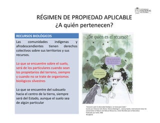 La investigación sobre Biodiversidad en Colombia