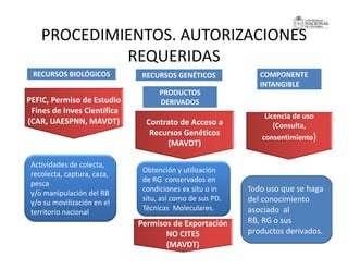 La investigación sobre Biodiversidad en Colombia