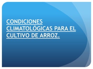 CONDICIONES
CLIMATOLÓGICAS PARA EL
CULTIVO DE ARROZ.
 