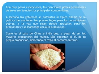 Con muy pocas excepciones, los principales países productores
de arroz son también los principales consumidores.
A menudo los gobiernos se enfrentan al típico dilema de la
política de mantener los precios bajos para los consumidores
pobres, a la vez que sigan siendo atractivos para los
productores y se mantenga una alta producción.
Como es el caso de China e India que, a pesar de ser los
mayores productores del mundo, sólo exportan el 1% de su
propia producción, dedicando el resto al consumo interno.
 