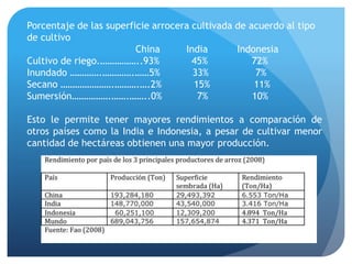 Porcentaje de las superficie arrocera cultivada de acuerdo al tipo
de cultivo
China India Indonesia
Cultivo de riego.……………..93% 45% 72%
Inundado ………….………….……5% 33% 7%
Secano ………………….……….….2% 15% 11%
Sumersión…………….…….……..0% 7% 10%
Esto le permite tener mayores rendimientos a comparación de
otros países como la India e Indonesia, a pesar de cultivar menor
cantidad de hectáreas obtienen una mayor producción.
 