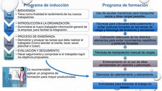 Uso de ayudas mecánicas para transportar
sacos y otras cargas pesadas.
Técnicas para colocarse adecuadamente y
evitar posturas forzadas en las tareas de
carga y descarga de lavadoras y secadoras.
Colocación adecuada de los distintos
elementos para evitar movimientos repetitivos
y posturas forzadas.
Técnicas de manipulación manual de cargas.
Entrenamiento en el uso de sillas
semisentado en calandra y planchado.
Ejercicios de calentamiento y estiramiento.
Actividades para fomentar el trabajo en
equipo.
Es recomendable
aplicar un programa de
formación para mayor productividad.
 