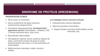 SINDROME DE PROTEUS (WIEDEMANN)
PRESENTACION CLÍNICA
 Niños nacen sin anomalías.
 Nevus cerebriforme del tejido conjuntivo:
prácticamente patognomónico.
 Crecimiento desproporcionado: hemihipertrofia /
gigantismo parcial: Extremidades, Vértebras, CAE
y visceral raramente (bazo, riñón, timo).
 Macrodactilia. Macrocefalia.
 Disrregulación adiposa: lipoma, ausencia regional de
grasa, crecimiento excesivo de grasa en pared
posterior/anterior del cuerpo o a nivel subcutáneo en
extremidades.
 Malformaciones vasculares: capilar, venosa o
linfática.
Los hallazgos menos comunes incluyen:
 Cistoadenomas ováricos bilaterales.
 Adenoma parotídeo monomórfico.
 Rasgos faciales anormales (Dolicocefalia, puente
nasal bajo, etc).
 