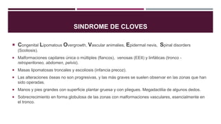 SINDROME DE CLOVES
 Congenital Lipomatous Overgrowth, Vascular animalies, Epidermal nevis, Spinal disorders
(Scoliosis).
 Malformaciones capilares única o múltiples (flancos), venosas (EEII) y linfáticas (tronco -
retroperitoneo, abdomen, pelvis).
 Masas lipomatosas troncales y escoliosis (infancia precoz).
 Las alteraciones óseas no son progresivas, y las más graves se suelen observar en las zonas que han
sido operadas.
 Manos y pies grandes con superficie plantar gruesa y con pliegues. Megadactilia de algunos dedos.
 Sobrecrecimiento en forma globulosa de las zonas con malformaciones vasculares, esencialmente en
el tronco.
 