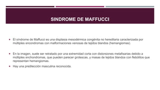 SINDROME DE MAFFUCCI
 El síndrome de Maffucci es una displasia mesodérmica congénita no hereditaria caracterizada por
múltiples encondromas con malformaciones venosas de tejidos blandos (hemangiomas).
 En la imagen, suele ser retratado por una extremidad corta con distorsiones metafisarias debido a
múltiples enchondromas, que pueden parecer grotescas, y masas de tejidos blandos con flebólitos que
representan hemangiomas.
 Hay una predilección masculina reconocida.
 