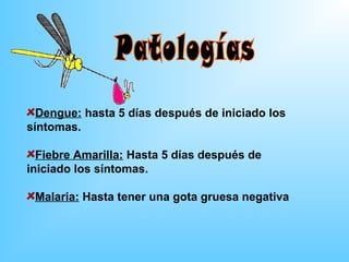 Dengue: hasta 5 días después de iniciado los
síntomas.

  Fiebre Amarilla: Hasta 5 días después de
iniciado los síntomas.

 Malaria: Hasta tener una gota gruesa negativa
 