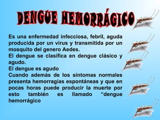 Es una enfermedad infecciosa, febril, aguda
producida por un virus y transmitida por un
mosquito del genero Aedes.
El dengue se clasifica en dengue clásico y
agudo.
El dengue es agudo
Cuando además de los síntomas normales
presenta hemorragias espontáneas y que en
pocas horas puede producir la muerte por
esto   también    es    llamado    “dengue
hemorrágico
 