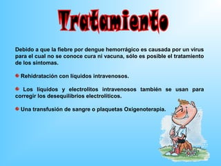 Debido a que la fiebre por dengue hemorrágico es causada por un virus
para el cual no se conoce cura ni vacuna, sólo es posible el tratamiento
de los síntomas.

  Rehidratación con líquidos intravenosos.

   Los líquidos y electrolitos intravenosos también se usan para
corregir los desequilibrios electrolíticos.

  Una transfusión de sangre o plaquetas Oxigenoterapia.
 