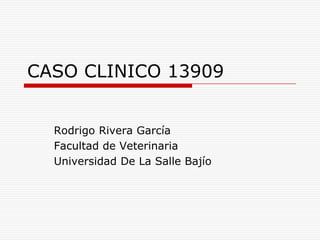 CASO CLINICO 13909
Rodrigo Rivera García
Facultad de Veterinaria
Universidad De La Salle Bajío

 