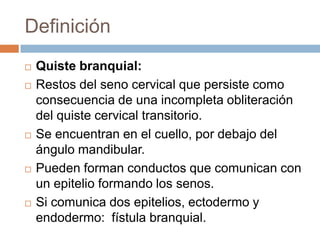 Definición









Quiste branquial:
Restos del seno cervical que persiste como
consecuencia de una incompleta obliteración
del quiste cervical transitorio.
Se encuentran en el cuello, por debajo del
ángulo mandibular.
Pueden forman conductos que comunican con
un epitelio formando los senos.
Si comunica dos epitelios, ectodermo y
endodermo: fístula branquial.

 