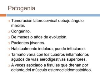 Patogenia










Tumoración laterocervical debajo ángulo
maxilar.
Congénito.
De meses o años de evolución.
Pacientes jóvenes.
Habitualmente indolora, puede infectarse.
Tamaño varía con los cuadros inflamatorios
agudos de vías aerodigestivas superiores.
A veces asociado a fístulas que drenan por
delante del músculo esternocleidomastoideo.

 