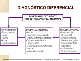DIAGNÓSTICO DIFERENCIAL
Algoritmos en Nefrología. Valoración de las Nefropatías (primarias y secundarias) en la urgencia. Dr. Francisco Rivera. SEN 2012
 