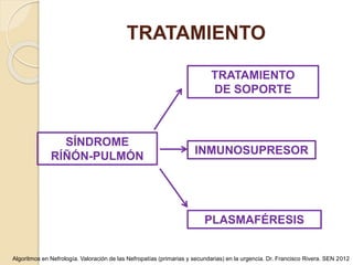 TRATAMIENTO
Algoritmos en Nefrología. Valoración de las Nefropatías (primarias y secundarias) en la urgencia. Dr. Francisco Rivera. SEN 2012
SÍNDROME
RÍÑÓN-PULMÓN INMUNOSUPRESOR
PLASMAFÉRESIS
TRATAMIENTO
DE SOPORTE
 