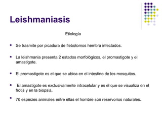 Leishmaniasis
Etiología
 Se trasmite por picadura de flebotomos hembra infectados.
 La leishmania presenta 2 estados morfológicos, el promastigote y el
amastigote.
 El promastigote es el que se ubica en el intestino de los mosquitos.
 El amastigote es exclusivamente intracelular y es el que se visualiza en el
frotis y en la biopsia.

70 especies animales entre ellas el hombre son reservorios naturales.
 
