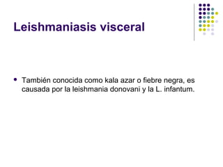 Leishmaniasis visceral
 También conocida como kala azar o fiebre negra, es
causada por la leishmania donovani y la L. infantum.
 