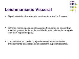 Leishmaniasis Visceral
 El periodo de incubación varia usualmente entre 2 a 6 meses.
 Entre las manifestaciones clínicas más frecuentes se encuentran
malestar general, la fiebre, la perdida de peso, y la esplenomegalia
(con o sin hepatomegalia).
 Los pacientes se pueden quejar de molestias abdominales
principalmente localizadas en el cuadrante superior izquierdo.
 