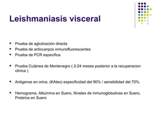 Leishmaniasis visceral
 Prueba de aglutinación directa
 Prueba de anticuerpos inmunofluorescentes
 Prueba de PCR especifica
 Prueba Cutánea de Montenegro ( 2-24 meses posterior a la recuperacion
clinica )
 Antigenos en orina. (KAtex) especificidad del 90% / sensibilidad del 70%.
 Hemograma, Albúmina en Suero, Niveles de inmunoglobulinas en Suero,
Proteína en Suero
 