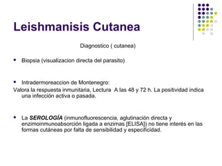 Leishmanisis Cutanea
Diagnostico ( cutanea)
 Biopsia (visualizacion directa del parasito)
 Intradermoreaccion de Montenegro:
Valora la respuesta inmunitaria, Lectura A las 48 y 72 h. La positividad indica
una infección activa o pasada.
 La SEROLOGÍA (inmunofluorescencia, aglutinación directa y
enzimoinmunoabsorción ligada a enzimas [ELISA]) no tiene interés en las
formas cutáneas por falta de sensibilidad y especificidad.
 
