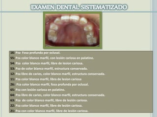 16: Pza Fosa profunda por oclusal.
55: Pza color blanco marfil, con lesión cariosa en palatino.
54: Pza color blanco marfil, libre de lesion cariosa.
53: Pza de color blanco marfil, estructura conservada.
12: Pza libre de caries, color blanco marfil, estructura conservada.
11: Pza color blanco marfil, libra de lesion cariosa
26: Pza color blanco marfil, fosa profunda por oclusal.
65: Pza con lesión cariosa en palatino.
64: Pza libre de caries, color blanco marfil, estructura conservada.
63: Pza de color blanco marfil, libre de lesión cariosa.
22: Pza color blanco marfil, libre de lesión cariosa.
21: Pza con color blanco marfil, libre de lesión cariosa.
 