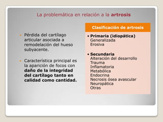 La problemática en relación a la artrosis

                                    Clasificación de artrosis
   Pérdida del cartílago         • Primaria (idiopática)
    articular asociada a            Generalizada
    remodelación del hueso          Erosiva
    subyacente.
                                  • Secundaria
                                    Alteración del desarrollo
   Característica principal es     Trauma
    la aparición de focos con       Inflamatoria
    daño de la integridad           Metabólica
    del cartílago tanto en          Endocrina
    calidad como cantidad.          Necrosis ósea avascular
                                    Neuropática
                                    Otras
 