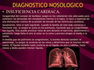 DIAGNOSTICO NOSOLOGICO
• INSUFICIENCIA CARDIACA.
incapacidad del corazón de bombear sangre en los volúmenes más adecuados para
satisfacer las demandas del metabolismo mental si lo logra, lo hace a expensas de
una disminución crónica de la presión de llenado de los ventrículos cardiacos.
Usualmente, falla el lado izquierdo. Cuando la bomba de este lado comienza a
funcionar mal, la sangre se junta en los pulmones, haciendo que se congestionen
con líquido. Esto puede provocar falta de aire durante el ejercicio, abatimiento y
cansancio, luego falta el aire al estar en la cama y provoca ahogos al medio e la
noche.
A medida que los pulmones se congestionan, la bomba derecha también se
sobrecarga. La sangre se acumula en las venas y determina que se hinchen las del
cuello. El líquido también suele juntarse en el hígado, en pies y tobillos, hasta
manos y dedos pueden retener líquido.
 