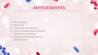 ANTECEDENTES
 Sexo: masculino
 Edad: 6 años
 Procedencia: región del maule.
 Clínica: hernioplastia inguinal izquierda
varicela hace tres semanas.
 Viaje al lago colbun 15 días previos al
inicio del cuadro.
 