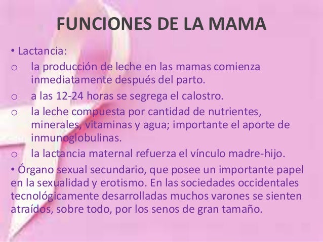 Sesion Ca MAMA