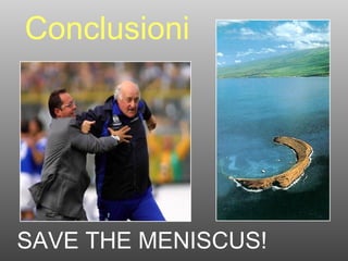 Conclusioni SAVE THE MENISCUS! 