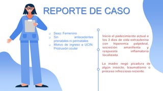 ❏ Sexo: Femenino
❏ Sin antecedentes
prenatales ni perinatales
❏ Motivo de ingreso a UCIN:
Protrusión ocular
REPORTE DE CASO
 