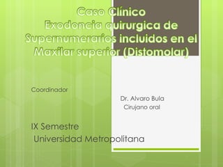Coordinador  Dr. Alvaro Bula   Cirujano oral IX Semestre Universidad Metropolitana 