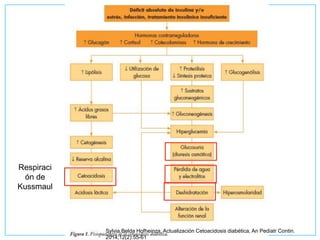 Sylvia Belda Hofheinza, Actualización Cetoacidosis diabética, An Pediatr Contin.
2014;12(2):55-61
Respiraci
ón de
Kussmaul
 