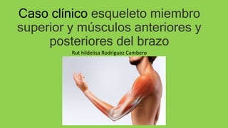 Caso clínico esqueleto miembro
superior y músculos anteriores y
posteriores del brazo
Rut hildelisa Rodríguez Cambero
 