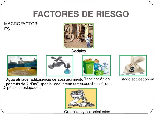 Caso clinico – dengue