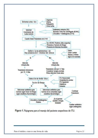 Para el médico, curar es una forma de vida. Página 22
 
